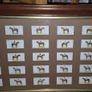 Vintage 1933 John Player & Sons "Derby Winners" Cigarette Card Framed Display Image 3