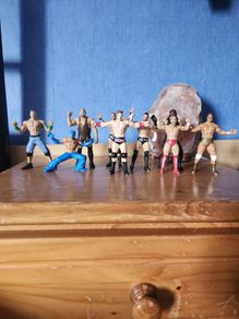 WWE Small Figures