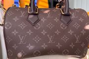 Leather Speedy25 in Coffee colour Copy