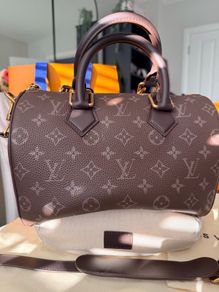 Leather Speedy25 in Coffee colour Copy