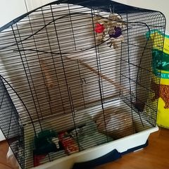 Pet