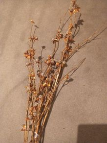 Four Gold & Gitter Ball  Branches