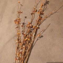 Four Gold & Gitter Ball  Branches