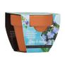 Bizzy Grow Gifts Mini Pots Image 3