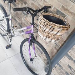 ladies bike