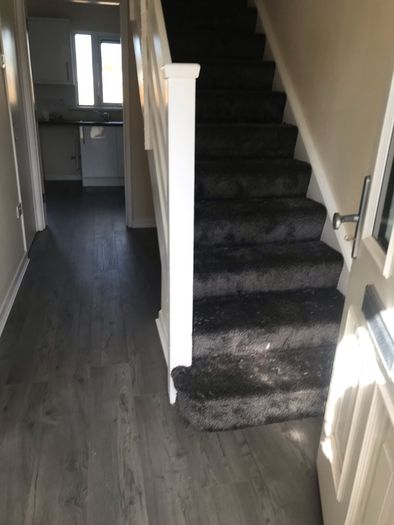 Carpet