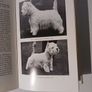 The Westhighland White Terrier by D. Mary Dennis Image 3