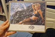 WWE Sunny Autograph - WWF