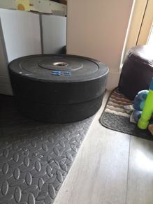 Pair of 20KG Bumper Plates