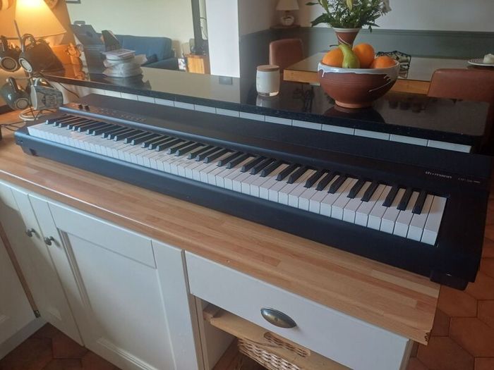 Piano/keyboard