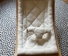 Charlie Crane Levo Baby Bouncer