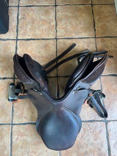 Horse saddle cavaletti collection, girt, stirrups