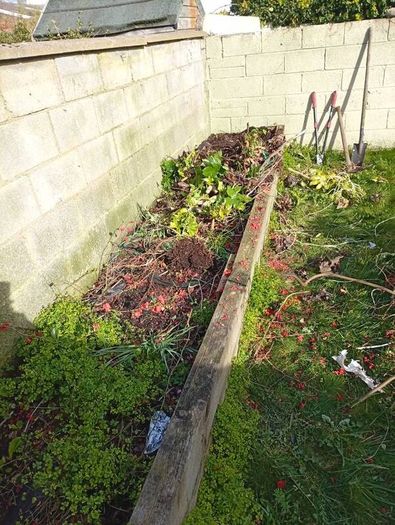 rubbish removal / garden clearance