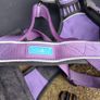 dog bed and harnesses Image 5