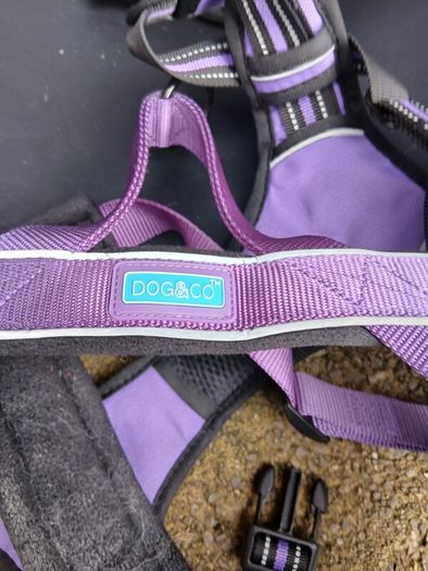dog bed and harnesses