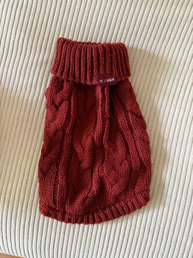 Small Dog Clothes Bundle