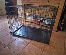 Dog Crate