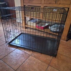 Dog Crate