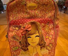 school trolly bag