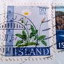 Iceland Stamps. circa 1966. Image 7