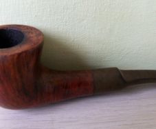 Salvatella Pipe comet d'or