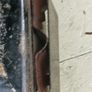 Old Trap Lamps Image 10