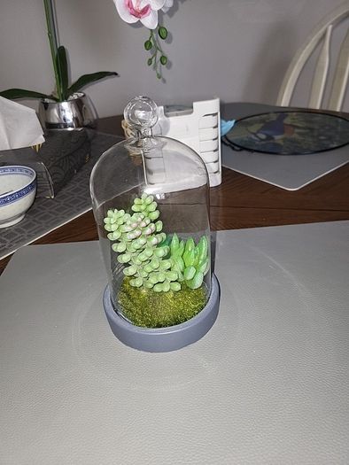 Cactus artificial