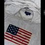 Polo Ralph Lauren Kids American Flag Logo Hoodie Image 3