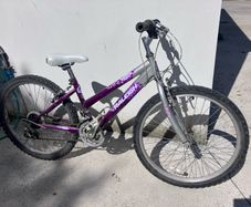 Girl's mountain bike Raleigh