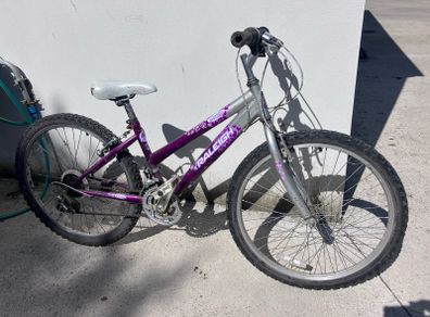 Girl's mountain bike Raleigh