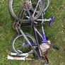 Bikes Image 4