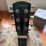 Richwood Guitar Image 3