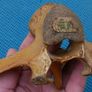 Vintage Bone Image 9