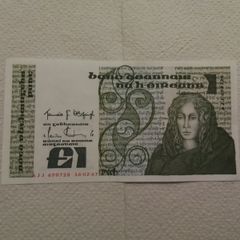 Meob Irish Pound.