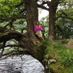 Cfingleton