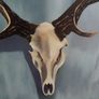 Caroline Carroll Oil Painting - Stag Skull Image 4