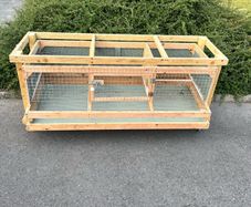 quail/chick cage