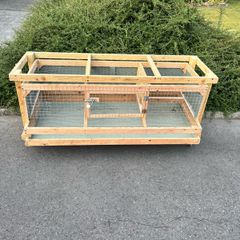 quail/chick cage