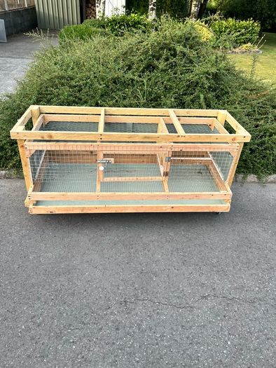 quail/chick cage
