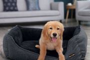 Dog bed for medium-sized dogs 90 x 75 x 25 cm