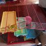 Hamster cage Image 2