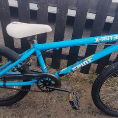 X-Rated Spine BMX Bike - 20" Wheel