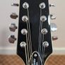 mandolin Image 5