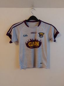 wexford gaa jersey
