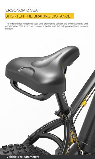 Lankeleisi Xf4000 Electric Bike