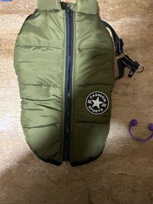 dogs coat