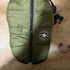 dogs coat