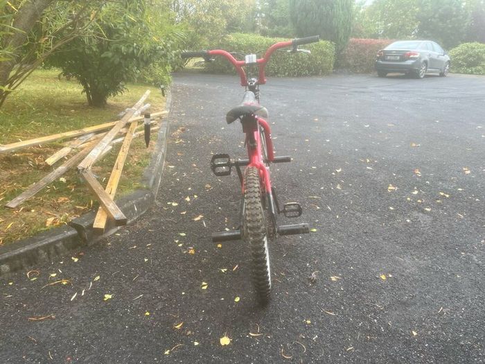Bicycle