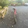 Bicycle Image 3