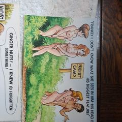 5 Bamforth nudist colony and snake charmer saucy postcards